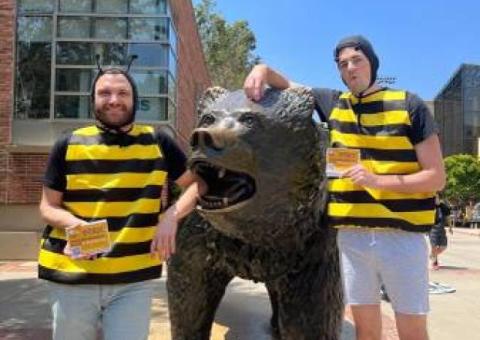 Walk Around UCLA Campus as a Bee!